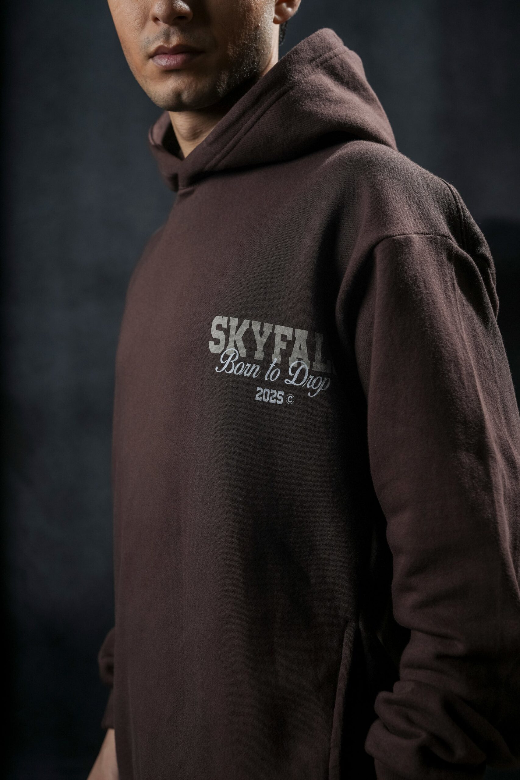 SKYFALL OVERSIZED HOODIE Hover